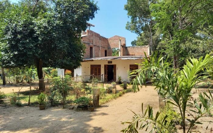 Silent Peacock Villa And Peacock Cafe