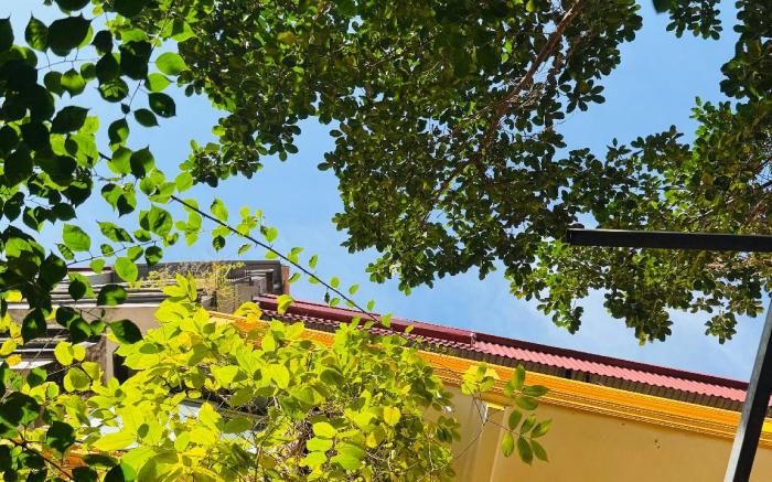 Hanoi Mai Hien Boutique Stay - Lotus Room