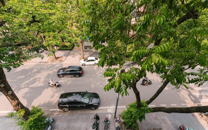 OH Trendy homes Le Thanh Tong 