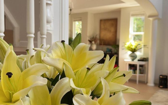 上海国宾馆花园别墅