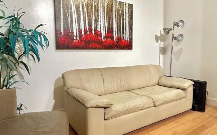 Cozy apt in Brooklyn New York 