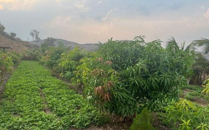 Aikant Agro Tourism, Pondewadi