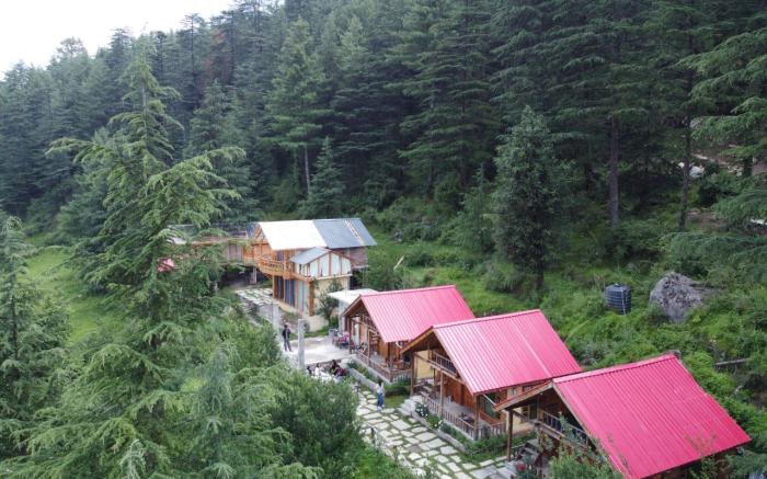 Glass House by Himalayan Cedar Nest