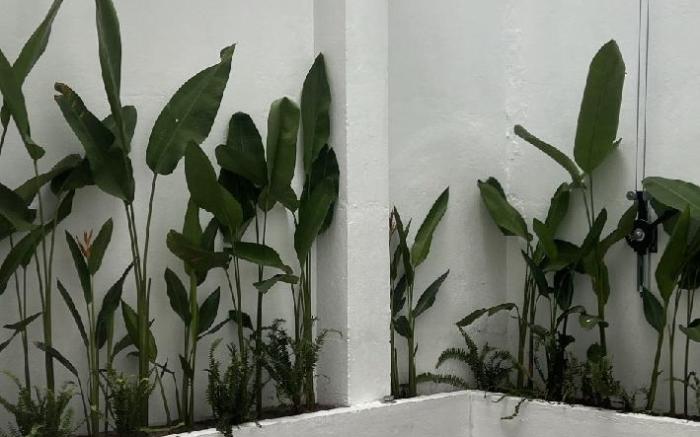 Nhà nguyên căn gần biển,gần cầu rồng 