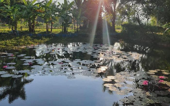 Ingna Resort
