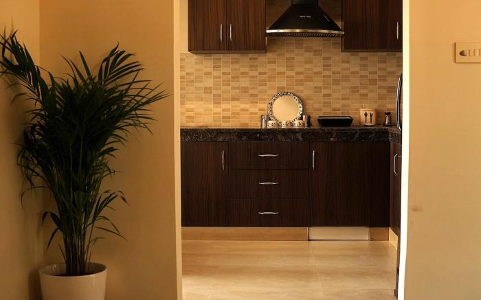 Skydeck Apartment 1BR unit Near Taj by Homeyhuts-1