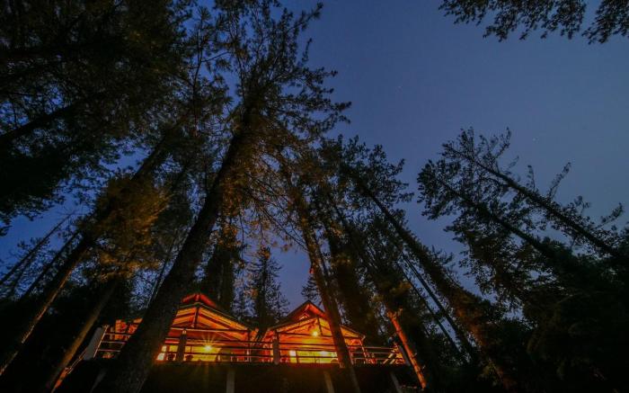 Windsor Duplex Cabin - Bird Scouting | BBQ