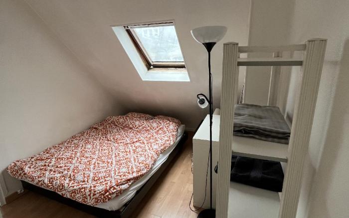Room in apartment with view of the Eiffel Tower 