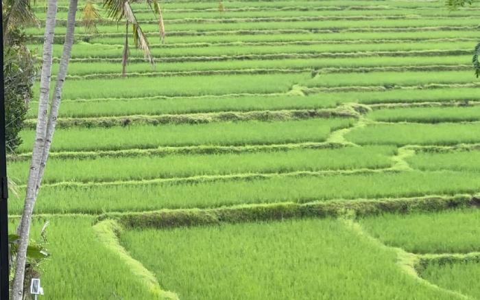 Bukit Langit Campventure