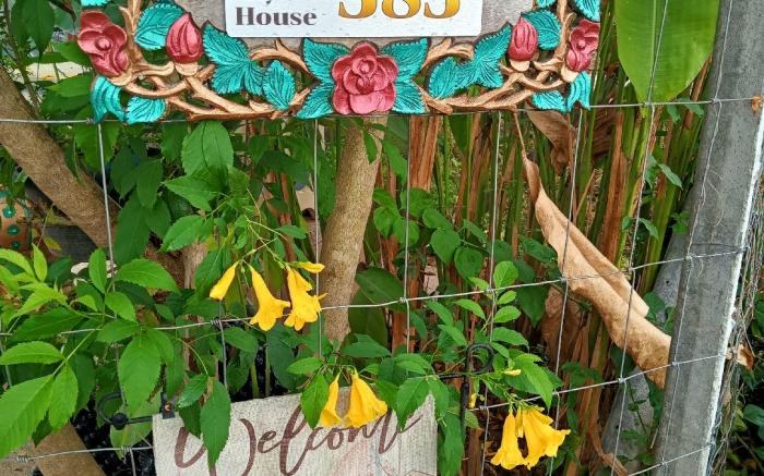 Tiny House บ้านไร่ระเบียงดอยเชียงดาว