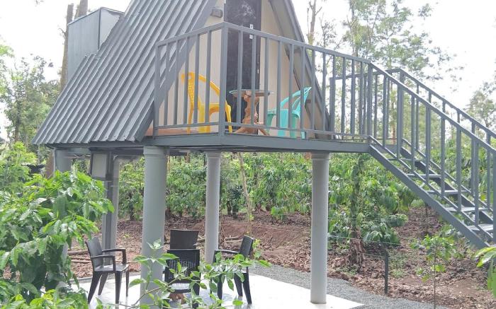 Forest Brew Resort Wayanad 