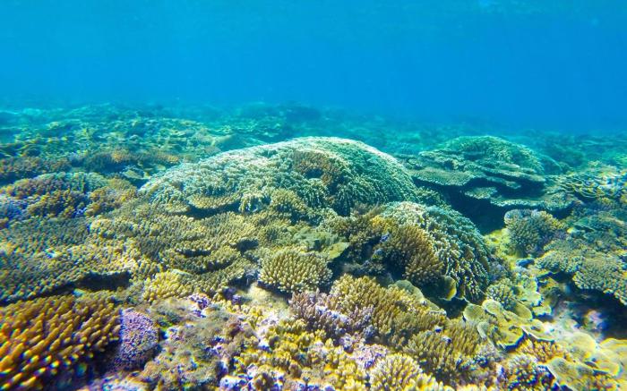 Haku Boutique Hotel Tuy Hòa - APEC Mandala