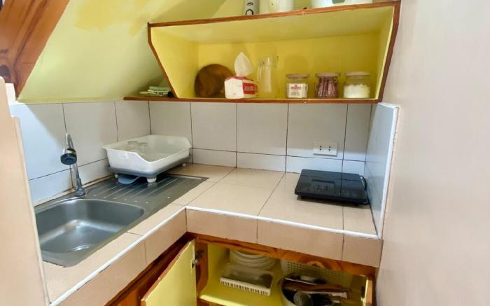 Arve’s Transient House