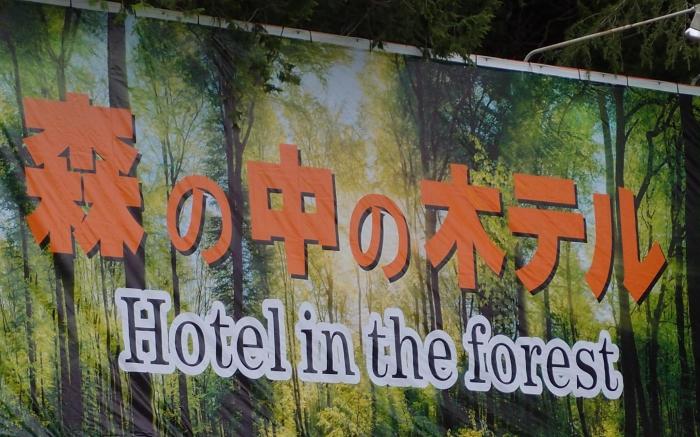 森の中のホテル