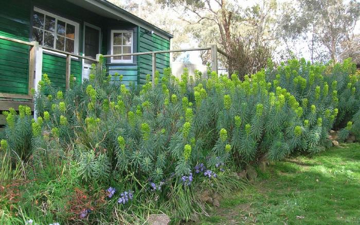 Kinross Metcalfe Farm