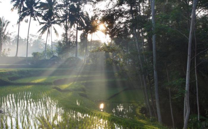 Puri Sebali Resort Ubud