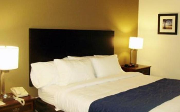 Quality Inn Clarksville - Exit 11