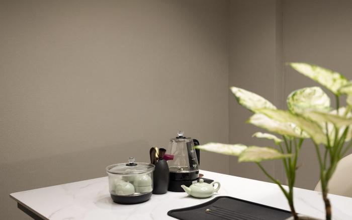 Borman Hotel Qingyuan City Government Shunying Times Square