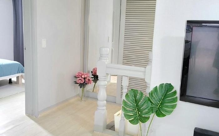 NEW OPEN [스테이 늘환호]  영일대해수욕장 /바다가 보이는 독채숙소/환호공원