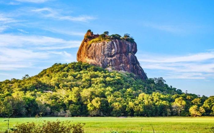 Lion’s Gate Homestay Sigiriya