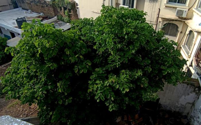 Veda Heritage Haveli