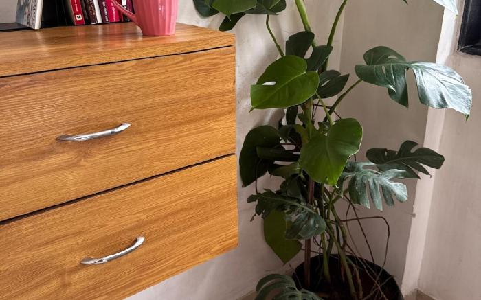 Snehal’s Homestay -2 Bedroom beautiful villa