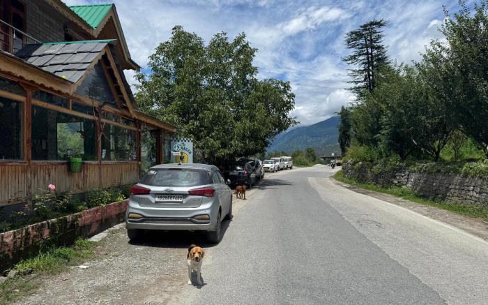 Picturesque Nest 6BR Villa in Manali by Homeyhuts