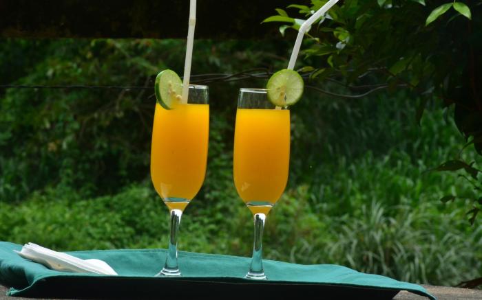 Ceylon Adventure Sports