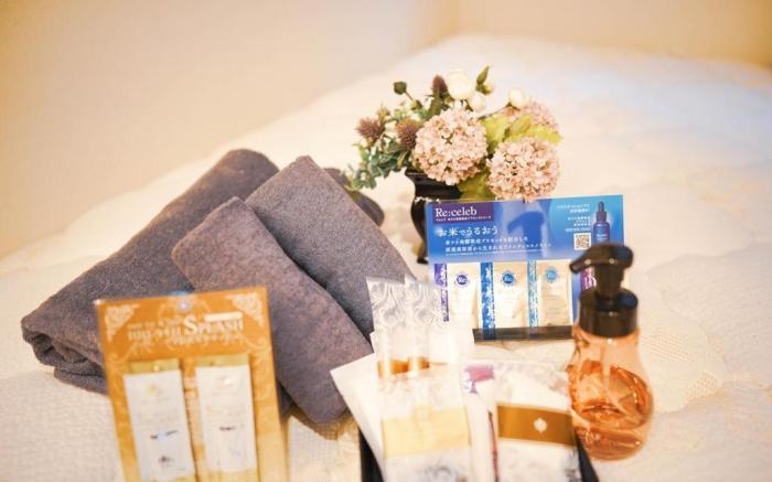 秋葉原で一番安く泊まれる！Hotel Plaisir Akihabara