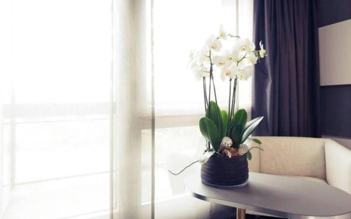 Mercure Plaza Biel Hotel