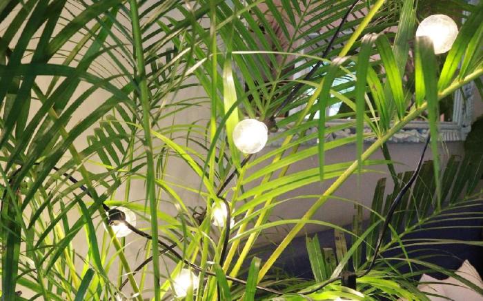 Anjuna Abode -beautiful 1 bhk apartment in Anjuna.