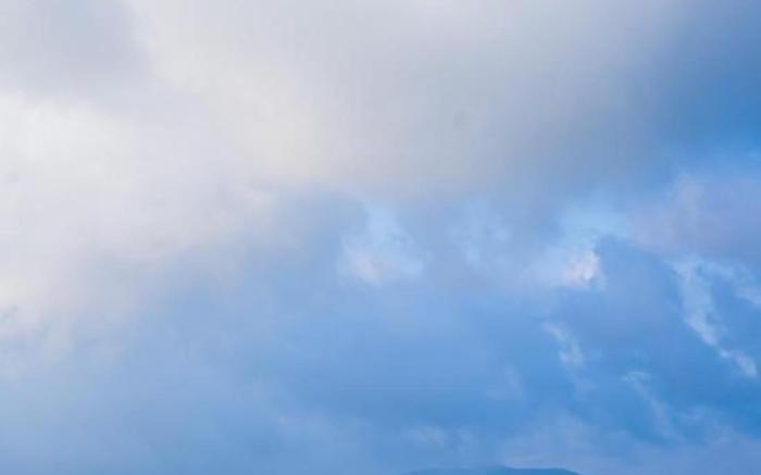 Song of the Trees by LexStays