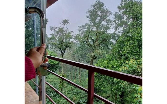 Tranquil Glass House By Coorg Tree House 