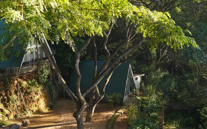 Tree Nature Resort (Sisila Ima)