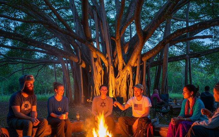 Indra's Nest - Studio Apartments