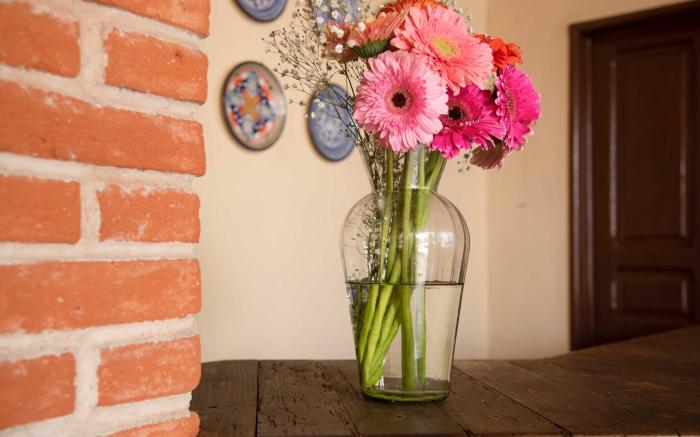 Hotel Rincon Poblano