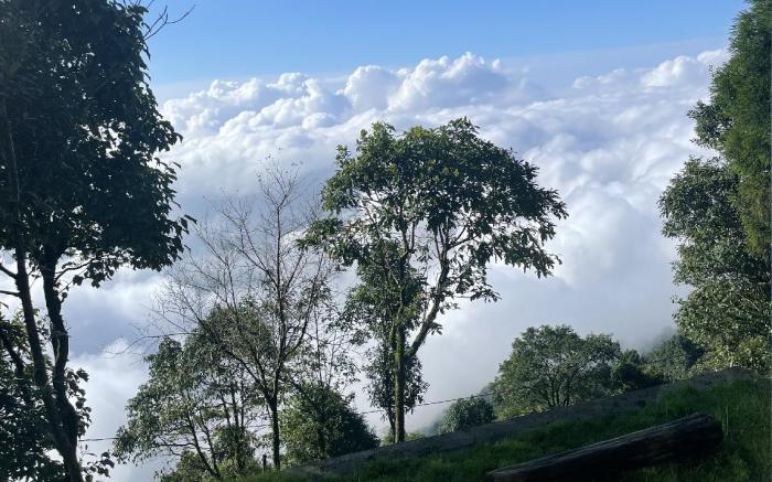 Lemo's Cafe and Homestay