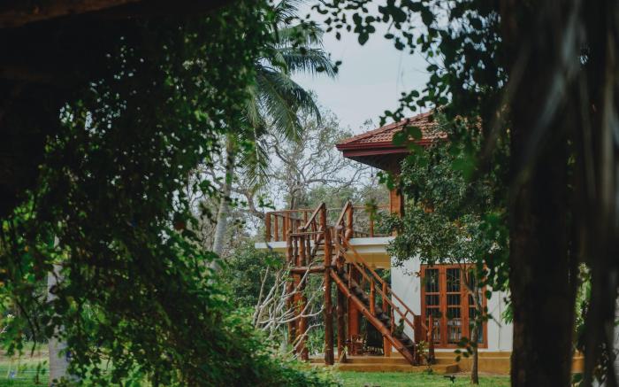 The Coconut Experience Eco Lodge - Wilpattu