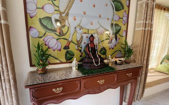 Vedic village Aquavilla Raivilla