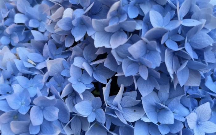 Stadt Villa Boutiquehotel