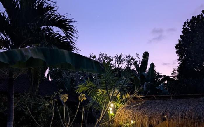 The House of The Rising Tide Boutique Hotel