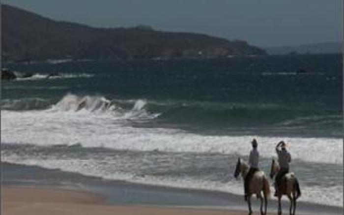 Las Alamandas
