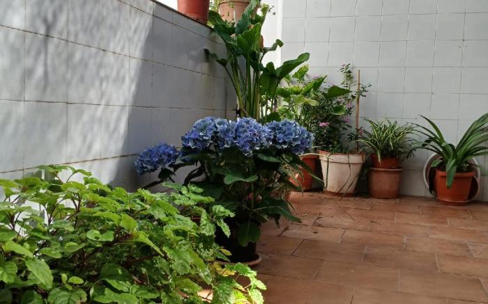 Habitaciones Santa Maria Magdalena 