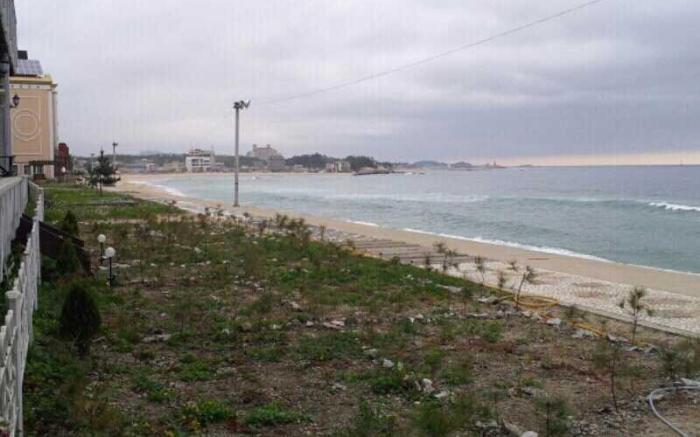 Goseong Naple House Pension