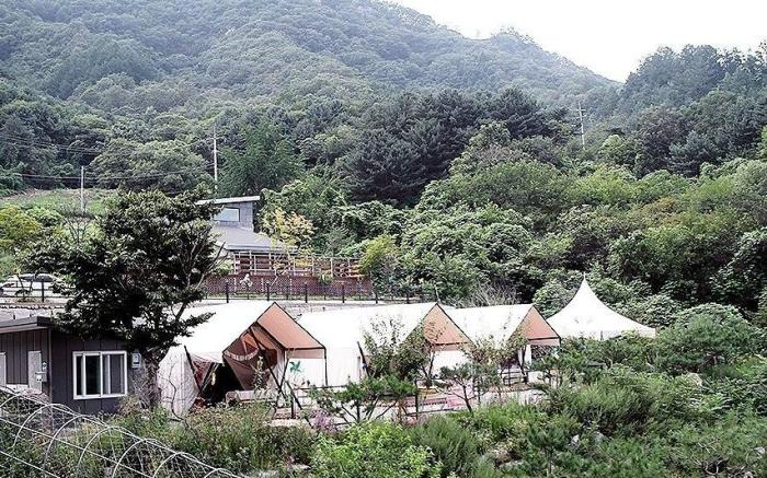 Floresta Pool Villa &amp;amp;amp;amp;amp;amp;amp; Glamping