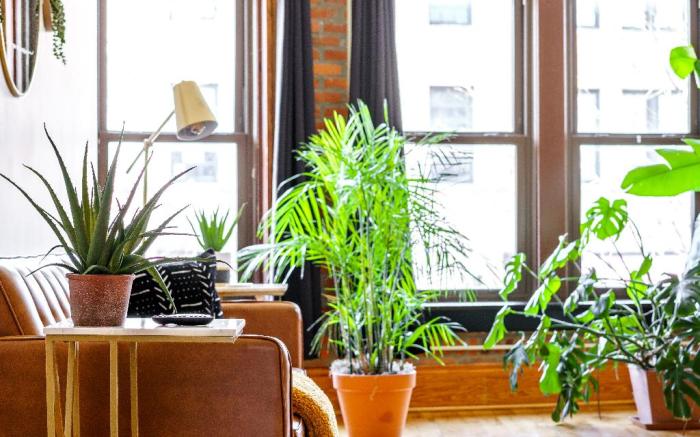 Top Rated - Free Parking - PRIME Location - CLEAN