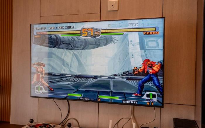 R&F d'Swiss Suite with Mini Bathtub | Arcade Game