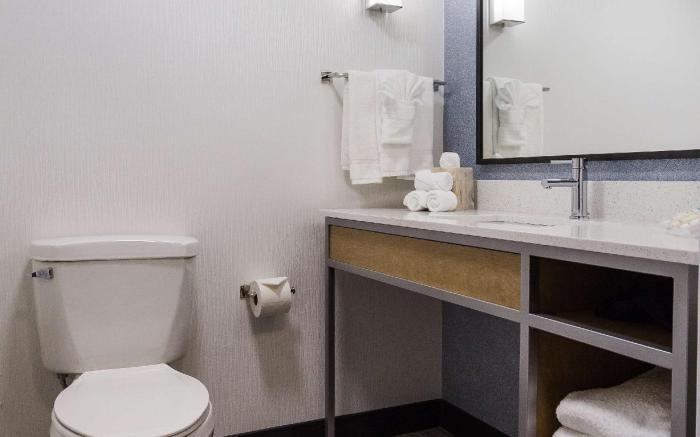 Hilton Garden Inn Atlanta North/Johns Creek