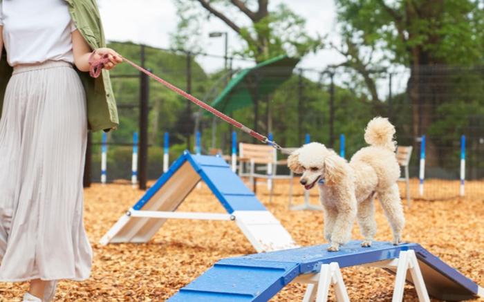 Livemax Resort Nasukogen