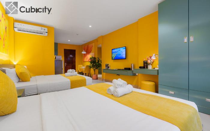 Cubicity Metro House